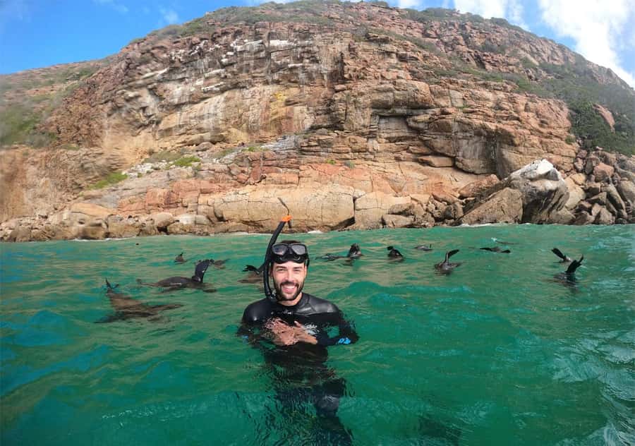 Plettenberg Bay: Swim with the Seals - Should you book the Plettenberg Bay seal swim?