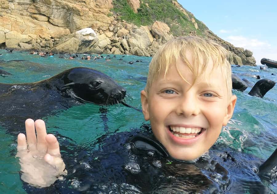 Plettenberg Bay: Swim with the Seals - Thirty minutes in the water with Cape Fur Seals
