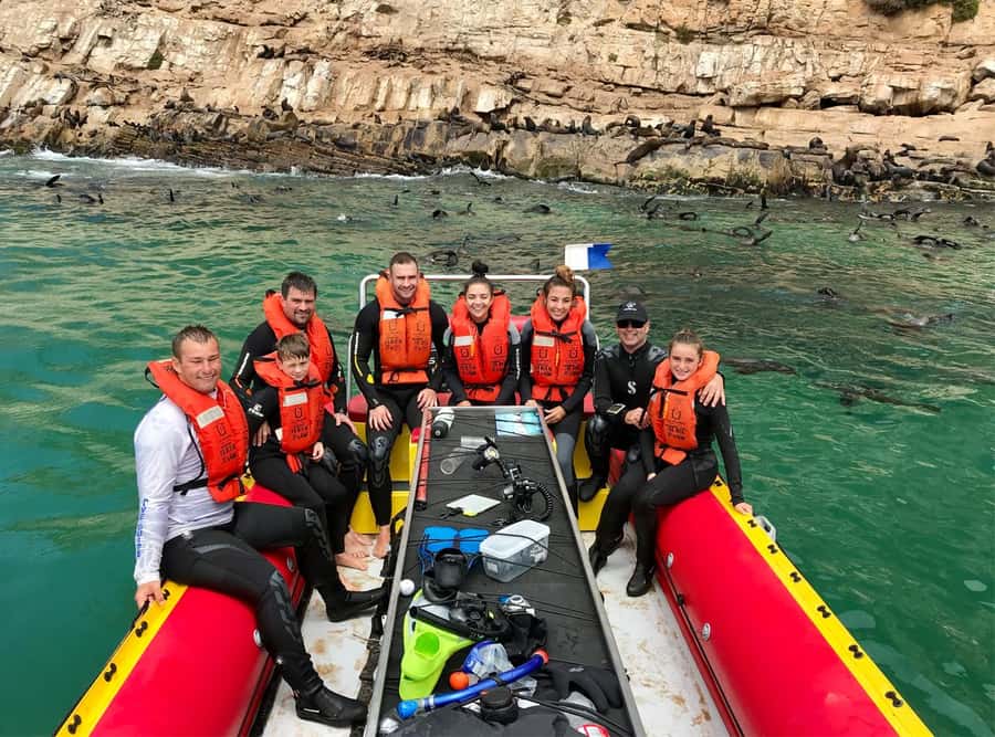 Plettenberg Bay: Swim with the Seals - Guides, briefings, and the feel of the outing