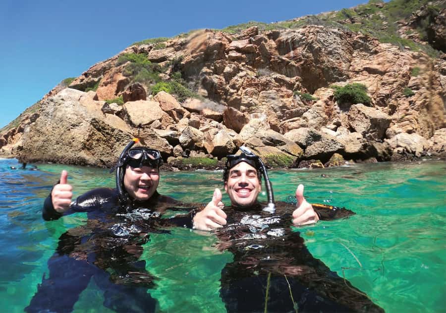 Plettenberg Bay: Swim with the Seals - What the $61 price includes