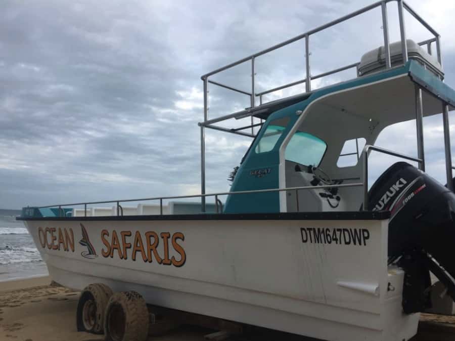 Plettenberg Bay: Whale Watching Boat Cruise - Who will enjoy this cruise most?