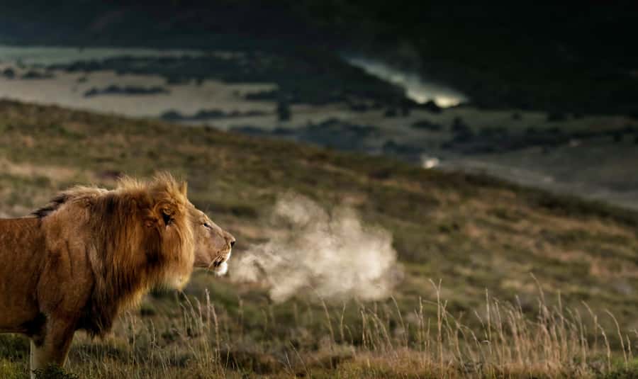 Port Elizabeth: 2-Day Addo Elephant Park Safari - Key points to know before booking