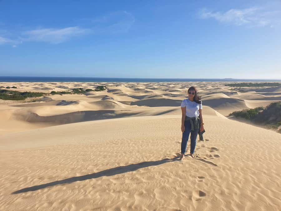 Port Elizabeth: 2-Day Addo Elephant Park Safari - My verdict: book it for variety, not a checklist