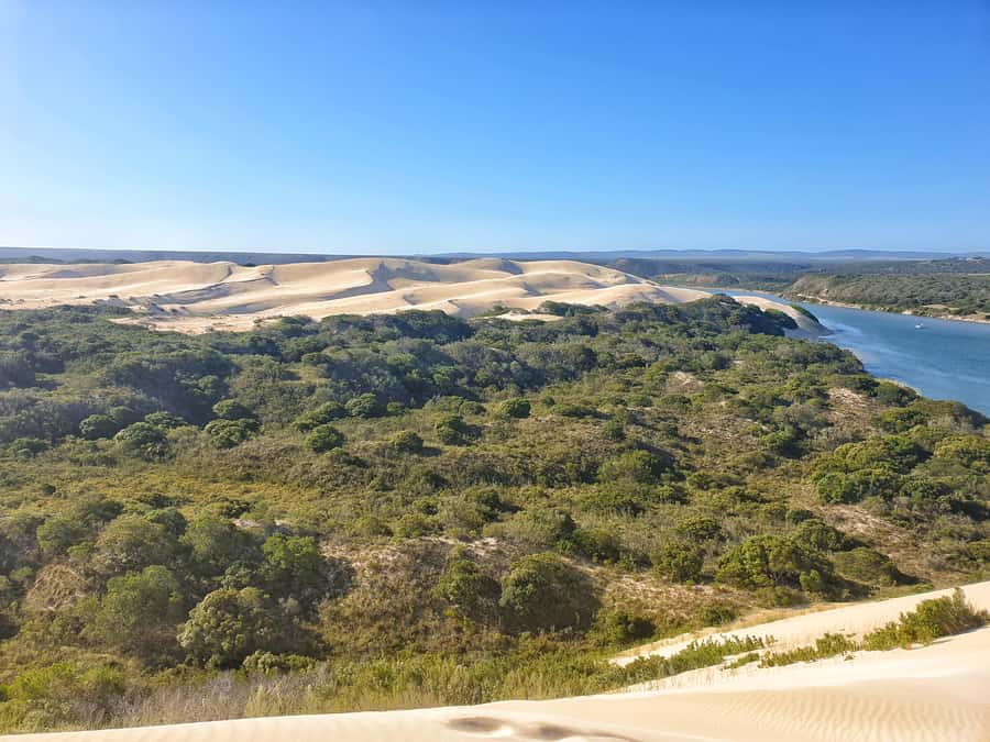 Port Elizabeth: 2-Day Addo Elephant Park Safari - Sundays River, dunes, and a change of pace