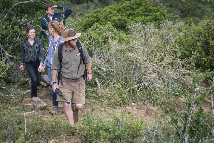 Port Elizabeth: 2-Day Addo Elephant Park Safari - Who should book this safari?
