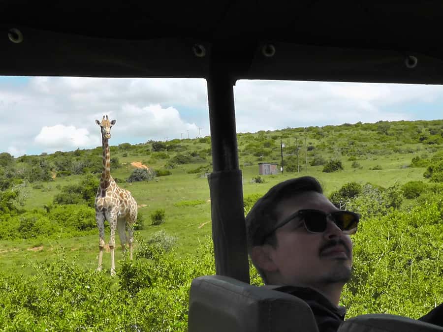 Port Elizabeth:2-Day Schotia Safaris & Addo Wildlife Reserve - Two days, two sides of Addo wildlife
