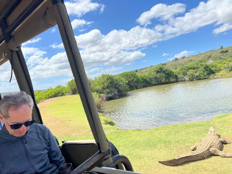 Port Elizabeth: 3-Day Addo Elephant National Park Safari - Seven hours inside Addo Elephant National Park