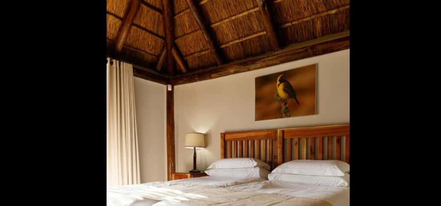 Port Elizabeth: 3-Day Addo Elephant National Park Safari - Choose an elephant walk or giraffe encounter
