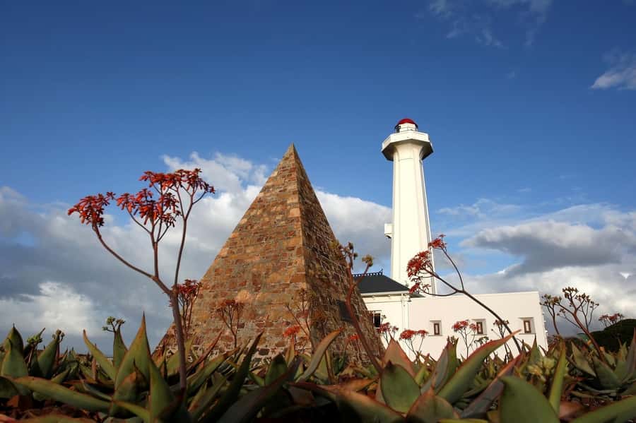 Port Elizabeth: 4x4 Wildlife Safari & City Sightseeing Tour - Five useful things to know before you book