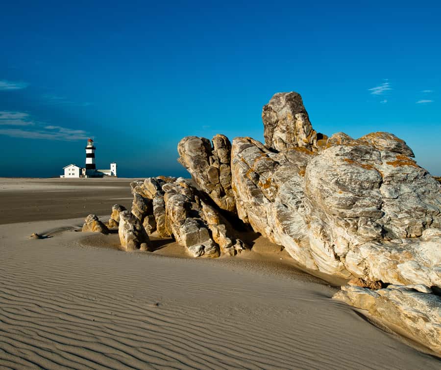 Port Elizabeth: 4x4 Wildlife Safari & City Sightseeing Tour - Cape Recife Lighthouse and the coast