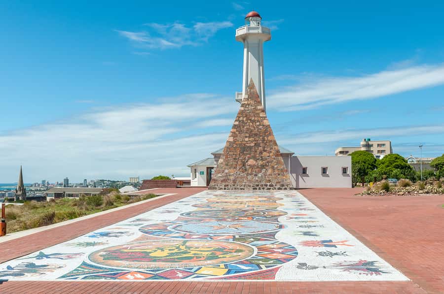 Port Elizabeth: 4x4 Wildlife Safari & City Sightseeing Tour - Wine, lunch, and the cost of an all-in-one tour