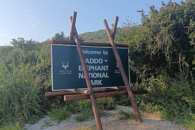 Port Elizabeth Addo Elephant National Park All Inclusive Safari - Returning through Main Camp into the northern section