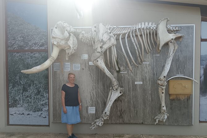 Port Elizabeth Addo Elephant National Park All Inclusive Safari - What the price includes at $154.29