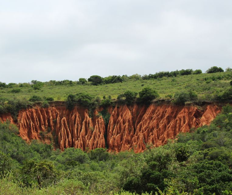 Port Elizabeth: Addo Elephant Park Shore Excursion with BBQ - Is $164 good value?