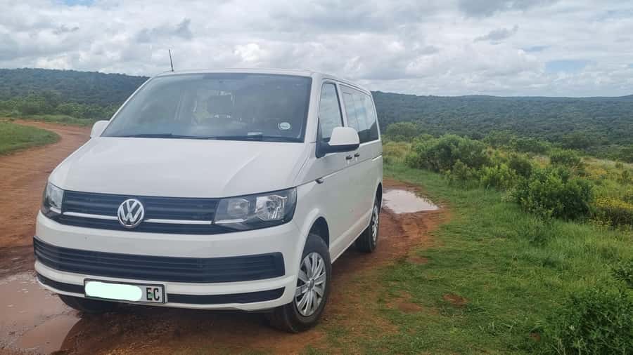 Port Elizabeth: Addo Park Safari with Giraffe Walk and Lunch - Timing, comfort, and what to pack