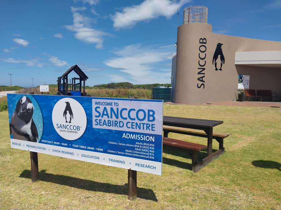 PORT ELIZABETH CITY TOUR - Fort Frederick and the city’s early story