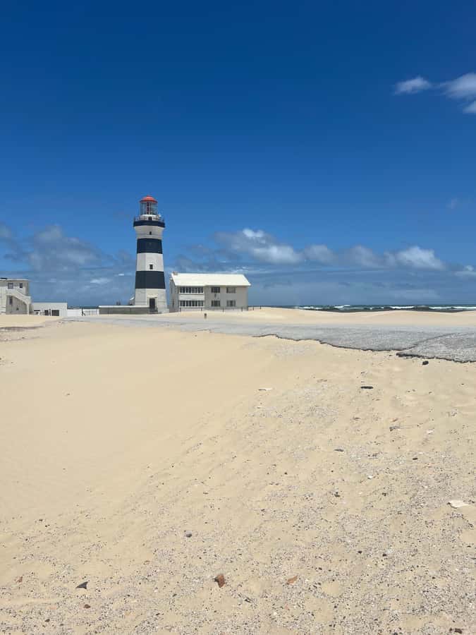 PORT ELIZABETH CITY TOUR - Donkin Reserve and Vuyisile Mini Square