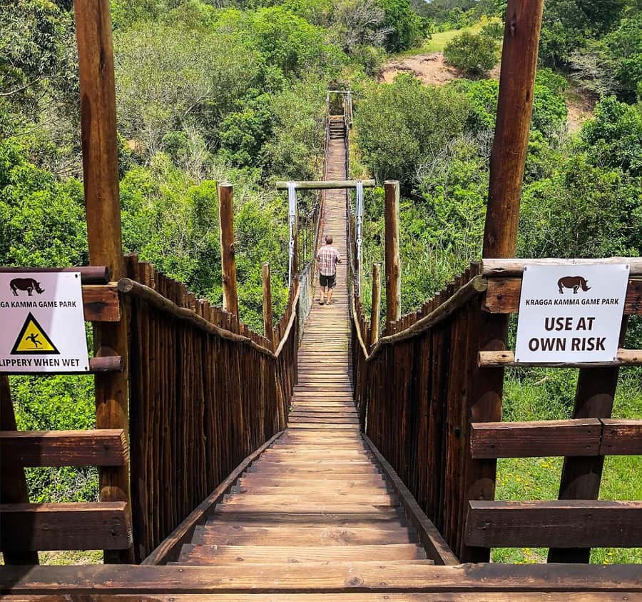 Port Elizabeth:Kragga Kamma Private game reserve safari - Kragga Kamma Game Park makes wildlife easy from Port Elizabeth