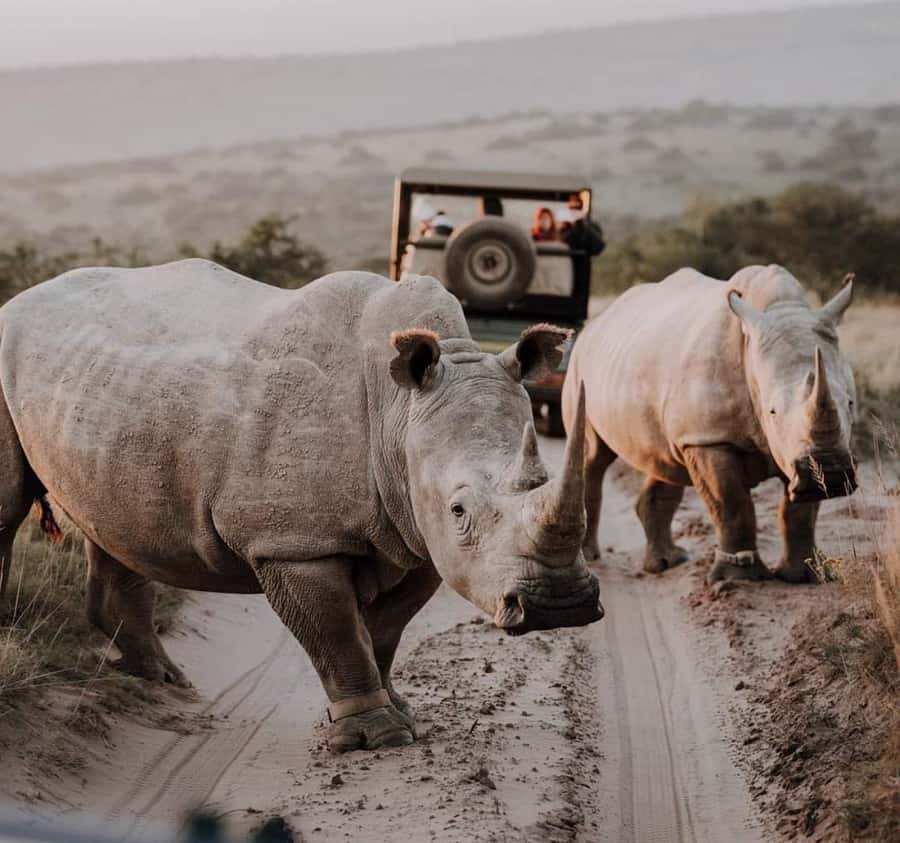 Port Elizabeth:Kragga Kamma Private game reserve safari - Coastal forest and grassland create changing views
