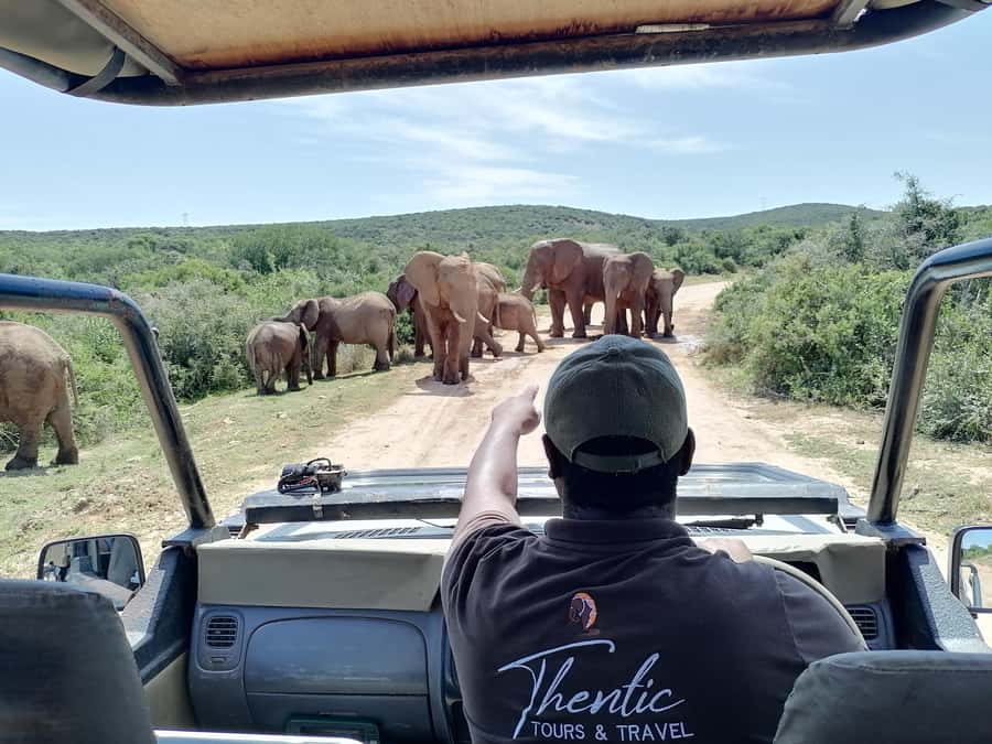 Port Elizabeth: Schotia Private Game Reserve Safari - Should you book Schotia Private Game Reserve?