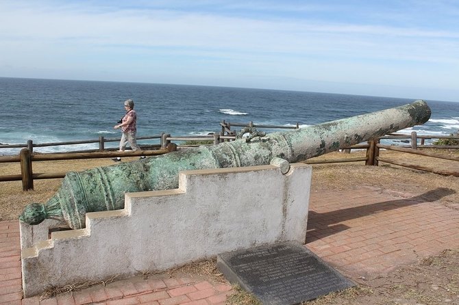 Port Elizabeth Wildside Scenic Drive - FD17 - Inland roads, local lunch, and a change of pace