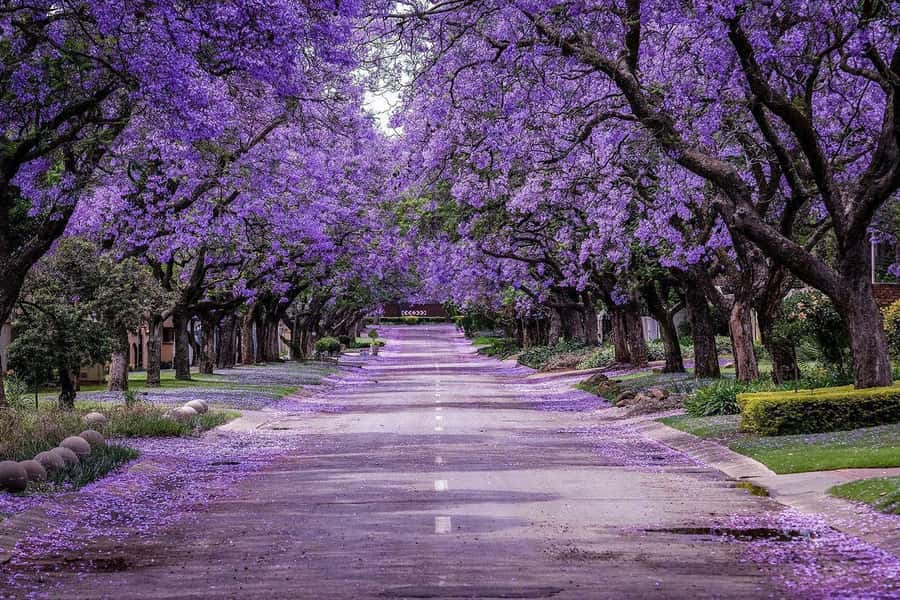Pretoria: Half-Day City Tour with Hotel Pickup - Is $109 per person fair value?