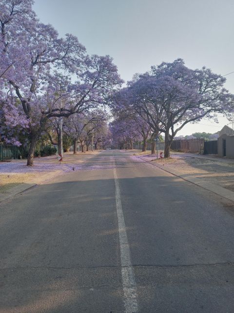 Pretoria half day tour - What the $86 price includes
