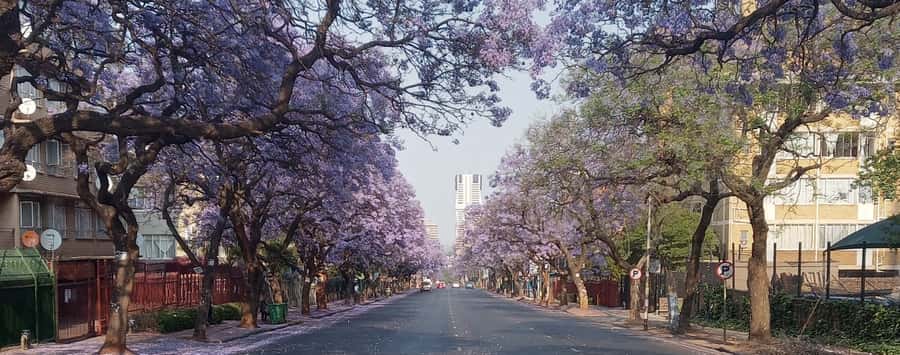 Pretoria: Pretoria City Tour and Cullinan Diamond Mine Tour - 10:00 am at Kruger House