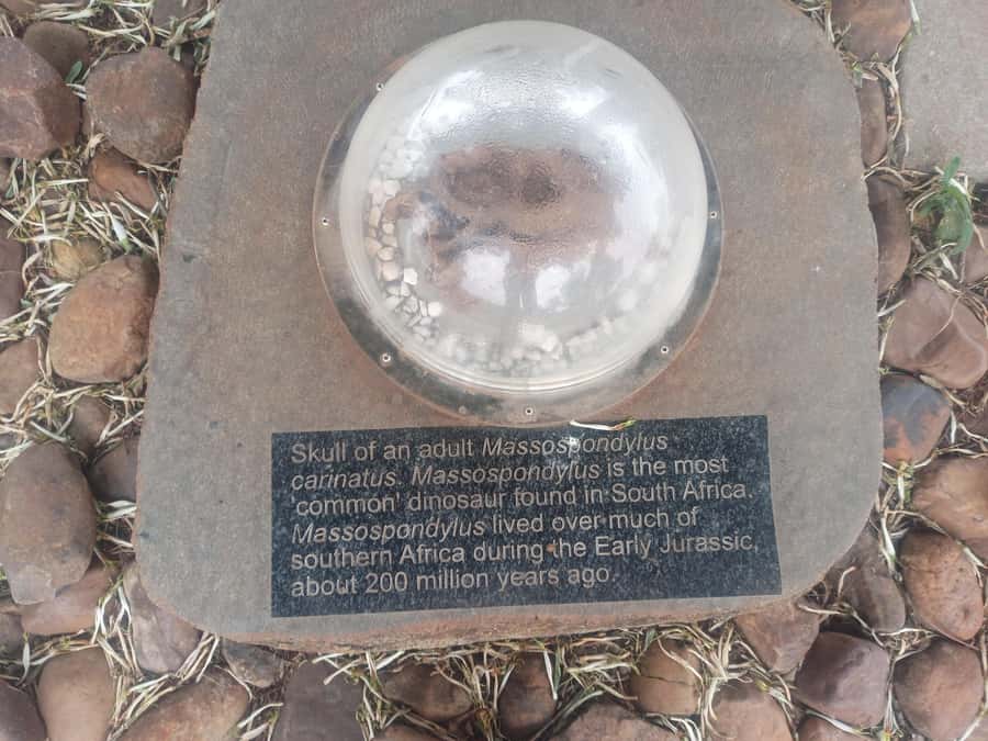 Pretoria/Sandton: Cradle of Humankind & Sterkfontein Caves - FAQ