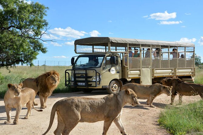 Private 5-Hour Lion Park Tour from Johannesburg or Pretoria - Why this private Johannesburg tour works well