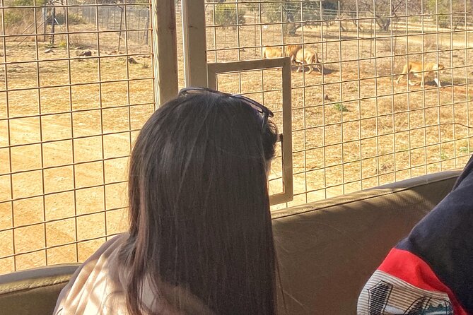 Private 5-Hour Lion Park Tour from Johannesburg or Pretoria - Feeding giraffes and ostriches