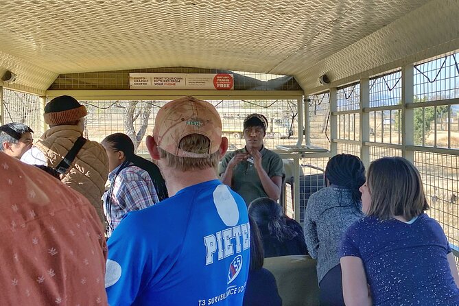 Private 5-Hour Lion Park Tour from Johannesburg or Pretoria - How the guide shapes the experience