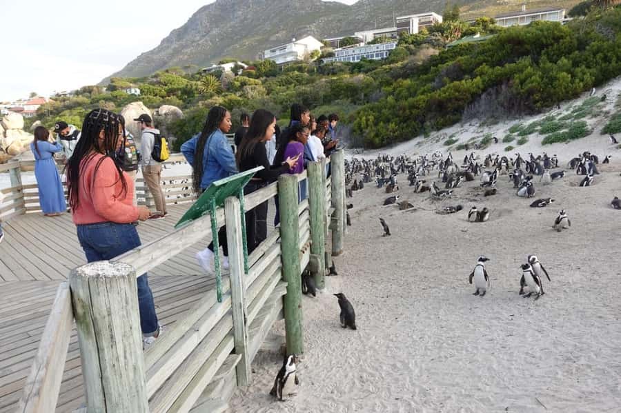 Private Cape of Good Hope and Penguins Full-Day Tour - Along Camps Bay and the Twelve Apostles