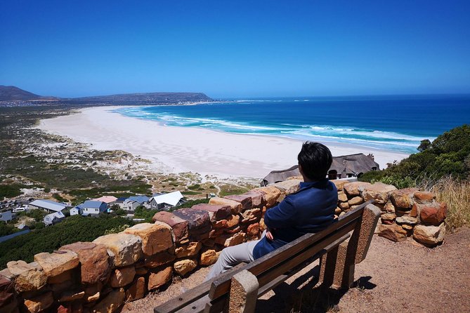 Private Cape of Good Hope and Penguins tour from Stellenbosch. - Cape Point Nature Reserve takes two focused hours