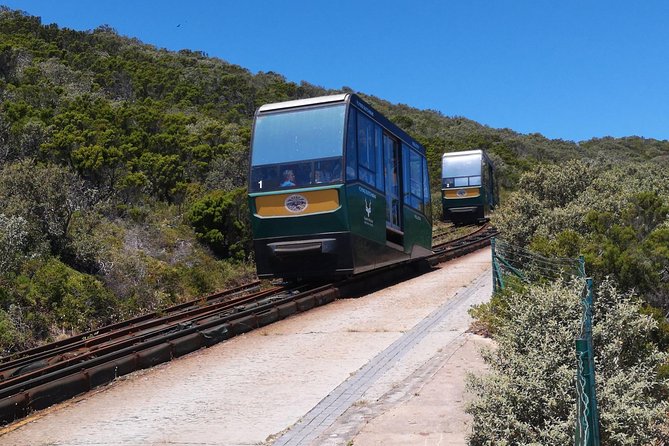 Private Cape of Good Hope and Penguins tour from Stellenbosch. - False Bay adds beaches, boats, and a possible seal trip