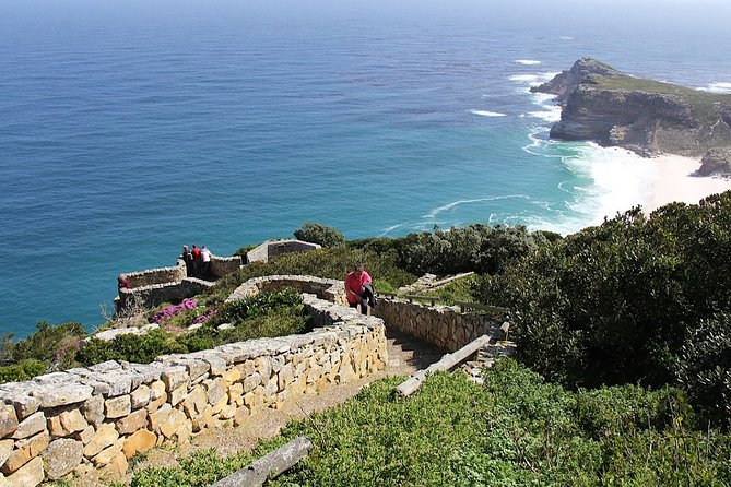 Private Cape of Good Hope and Penguins Tour with Luxury Mercedes or BMW Vehicle - Cape Point Vineyards adds a quieter hour