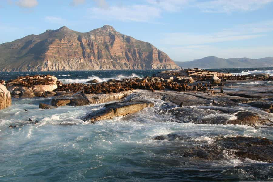 Private Cape of Good Hope Guided Tour - Clifton and Maiden’s Cove show Cape Town’s glamorous side