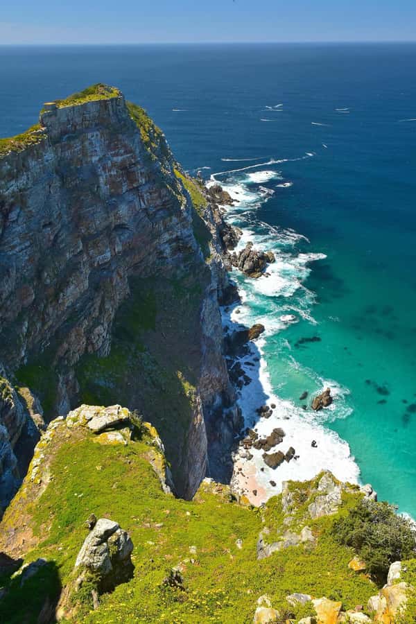 Private Cape of Good Hope Guided Tour - Chapman’s Peak Drive is more than transport