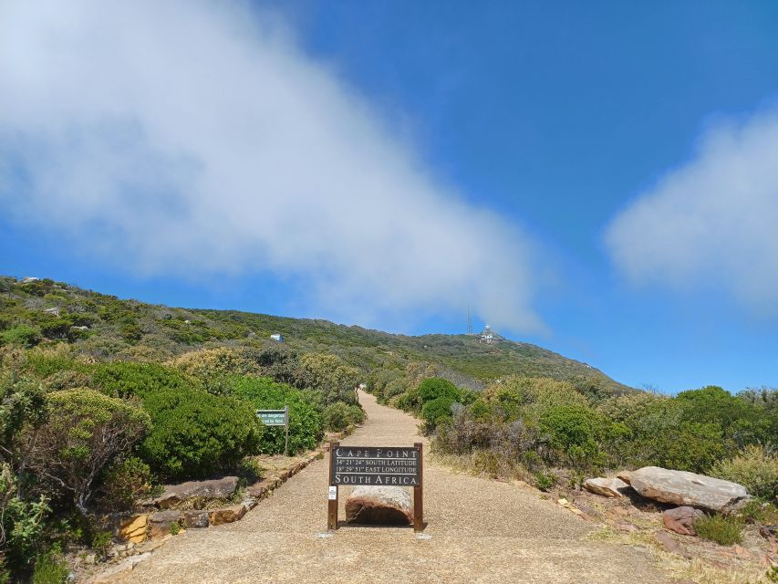 Private Cape of Good Hope Guided Tour - Boulders Beach brings you close to African penguins