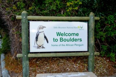 Private Cape of Good Hope Sightseeing and African Penguin Tour
