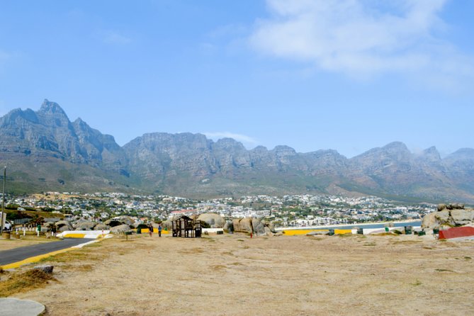 Private Cape of Good Hope Sightseeing and African Penguin Tour - Cape Point Nature Reserve brings the big views