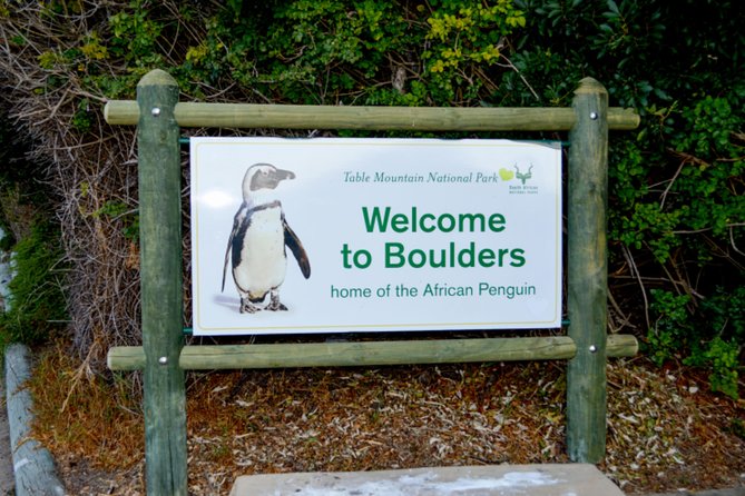 Private Cape of Good Hope Sightseeing and African Penguin Tour - Chapman’s Peak Drive is the scenic backbone