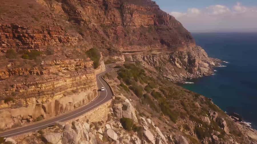 Private Cape Peninsula Half-Day Tour with Penguins - Transport, language, and pickup details
