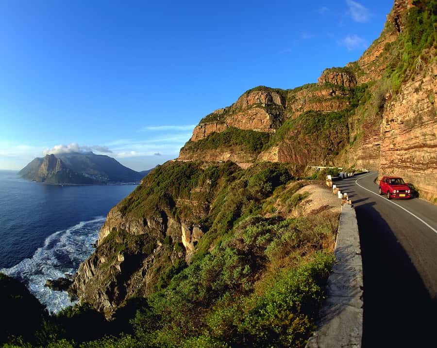 Private Cape Peninsula Half-Day Tour with Penguins - From Clifton to the Twelve Apostles