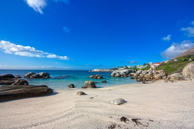 Private Cape Peninsula + Kirstenbosch Garden Full Day Guided Tour - Chapman’s Peak Drive and the Twelve Apostles