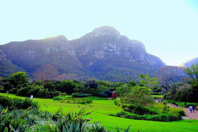 Private Cape Peninsula + Kirstenbosch Garden Full Day Guided Tour - Simon’s Town and the Boulders penguins