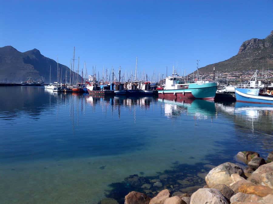 Private Cape Peninsula + Kirstenbosch Garden Guided Tour - Why this private Cape Peninsula route works