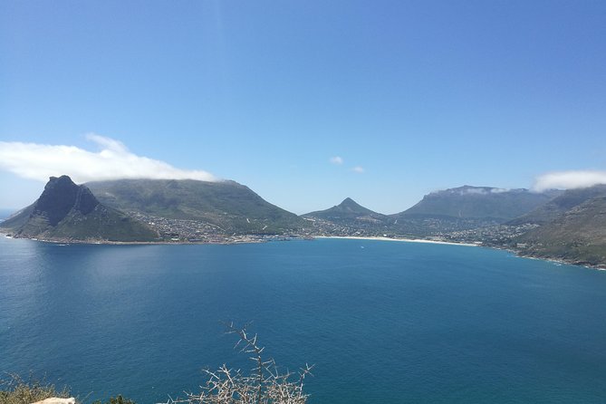 Private Cape Peninsula Tour - Boulders Beach Brings You Close to Penguins