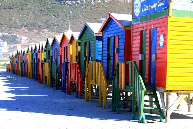 Private Cape Peninsula Tour, With Close Range Penguin Encounter From Cape Town. - Boulders Beach and the African penguins
