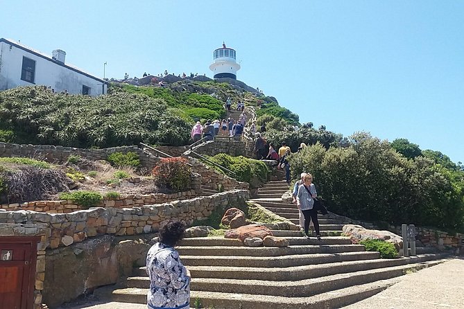 Private Cape Point Penguins Tour-Exploring the Cape Peninsula F/D - Chapman’s Peak with 114 curves